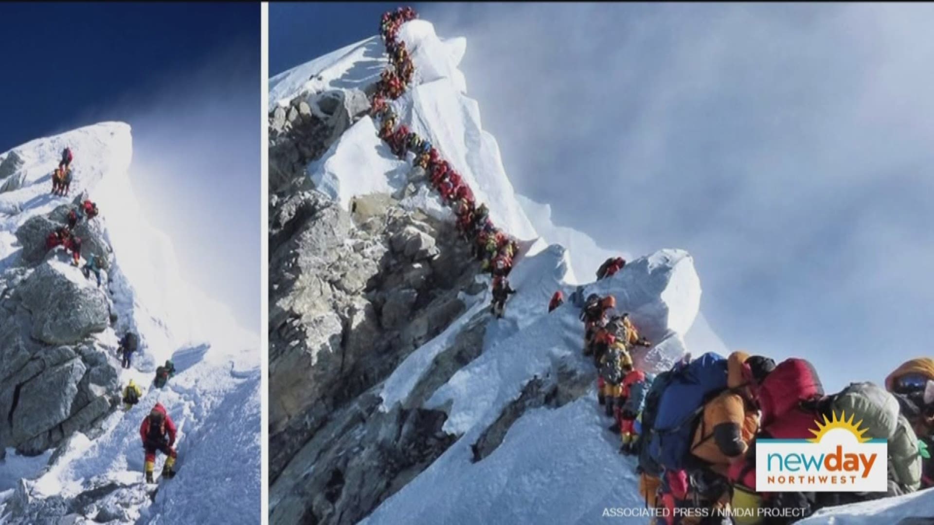 Селфи с горы Эверест. Салон Эверест. Лук Mount Everest. Эверест с медведем картинка.