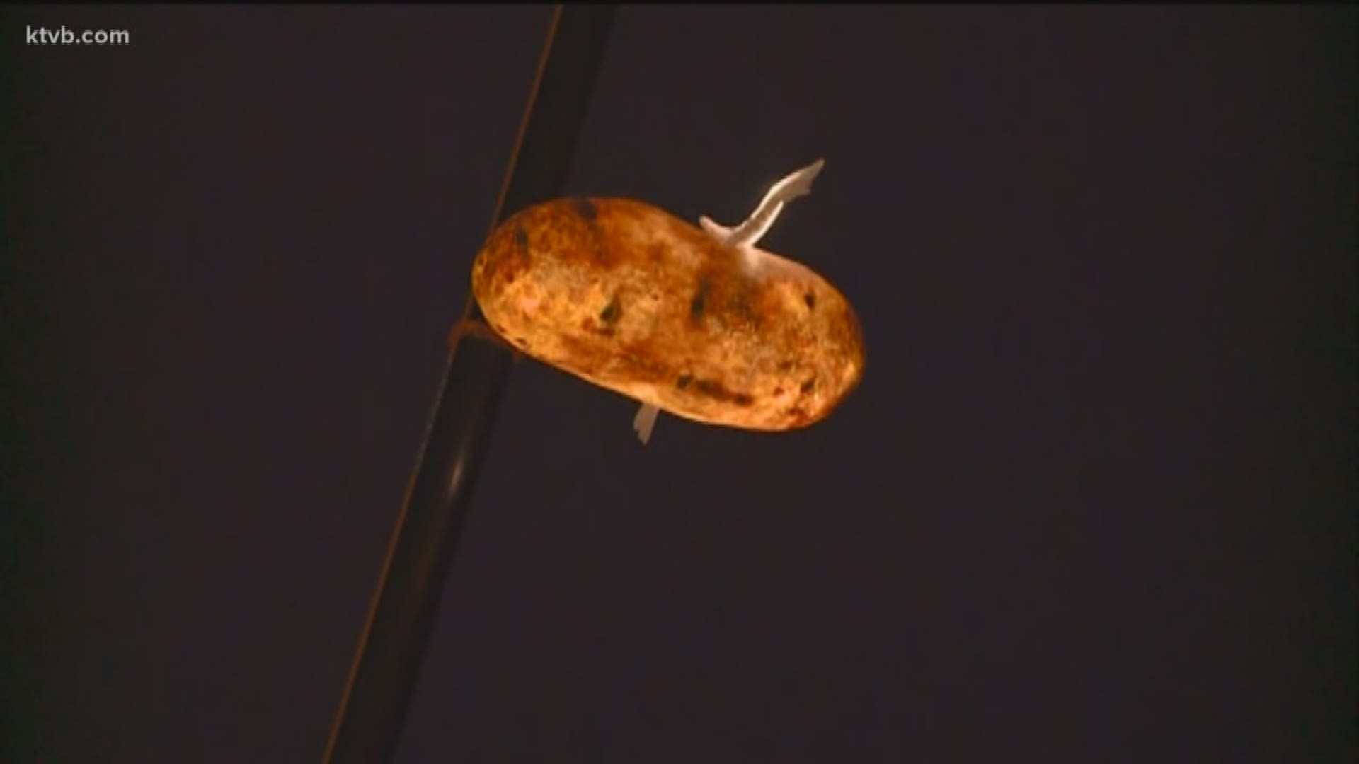 The festivities are underway in downtown Boise and will continue until the New Year is ushered in.