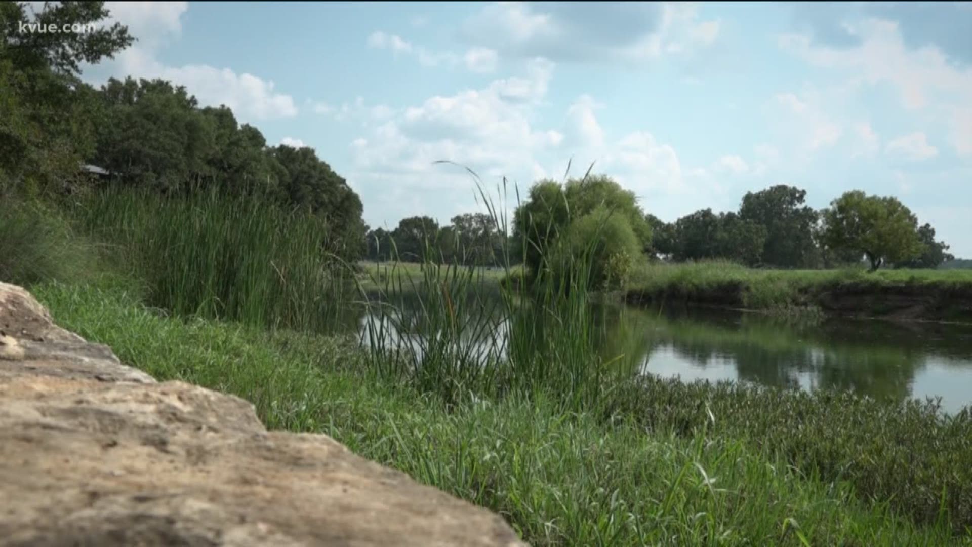 Plan to dump treated wastewater into Onion Creek in Dripping Springs