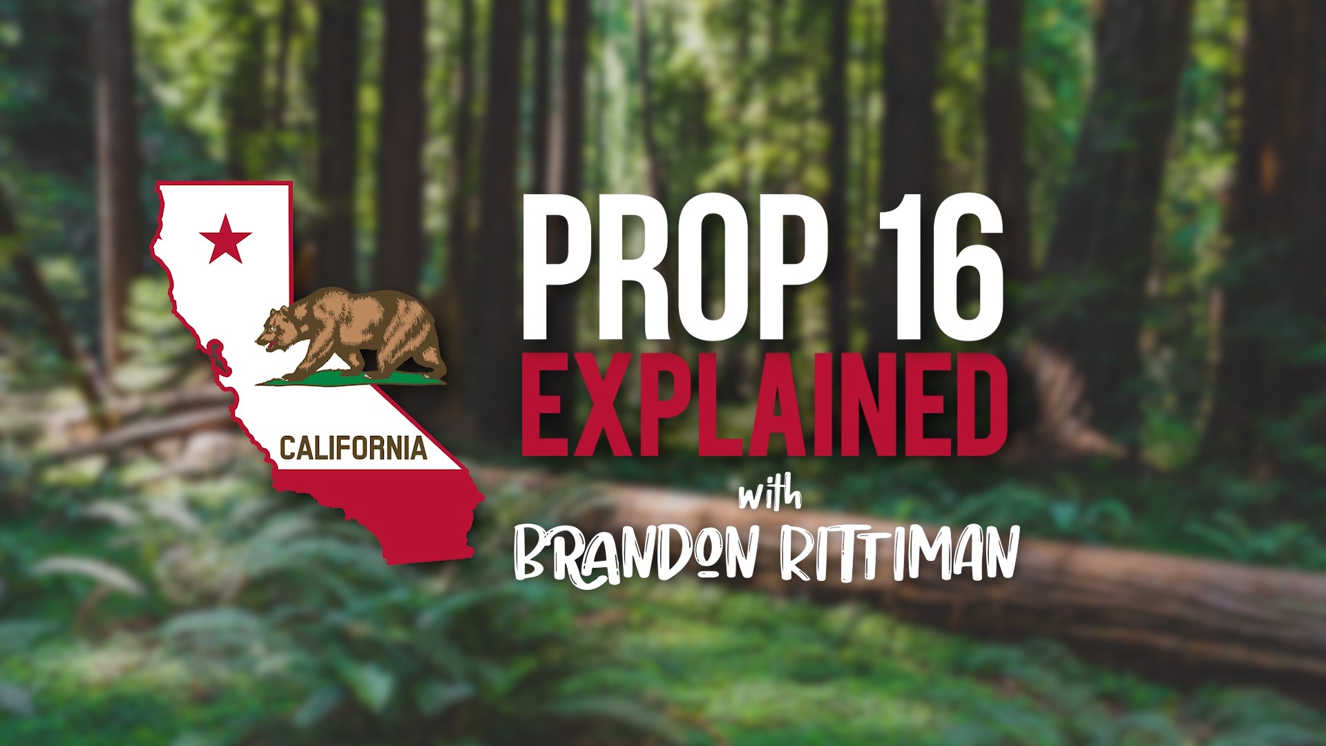 ABC10's Brandon Rittiman takes a closer look at California Proposition 16, Repeal Proposition 209 Affirmative Action Amendment.