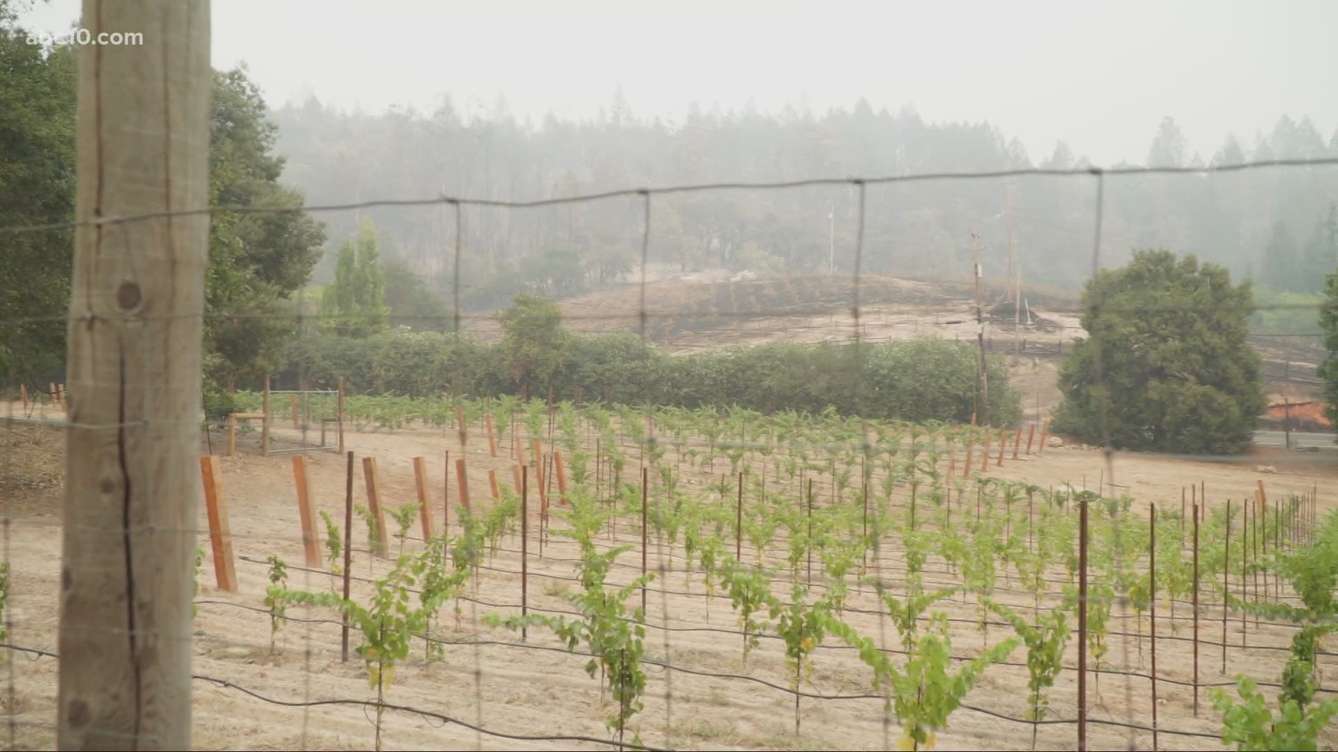 Winemakers working to do what they can to save the wine and grapes already harvested while the Glass Fire devastates Napa and Sonoma counties.