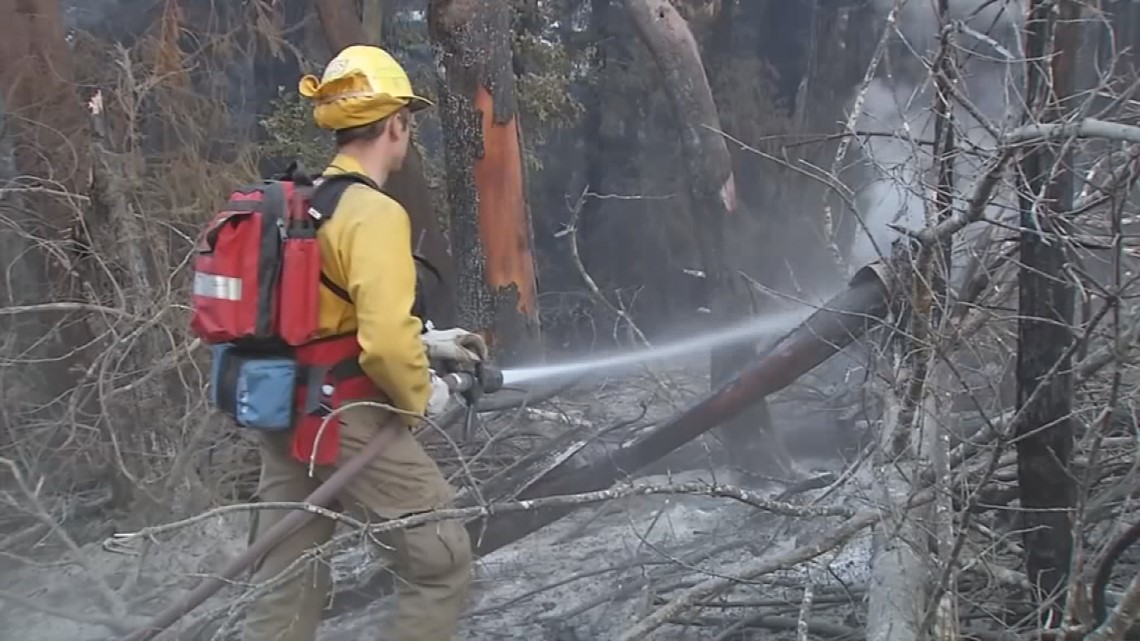 cal fire hiring