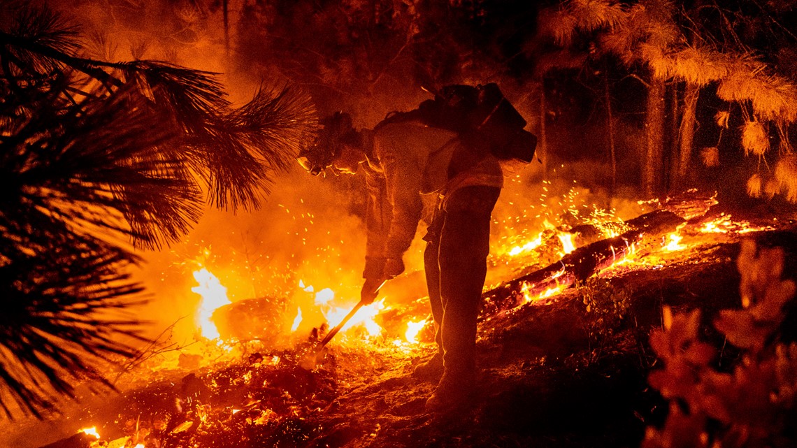California's firefighter union to get a rare perk - Vimarsana News