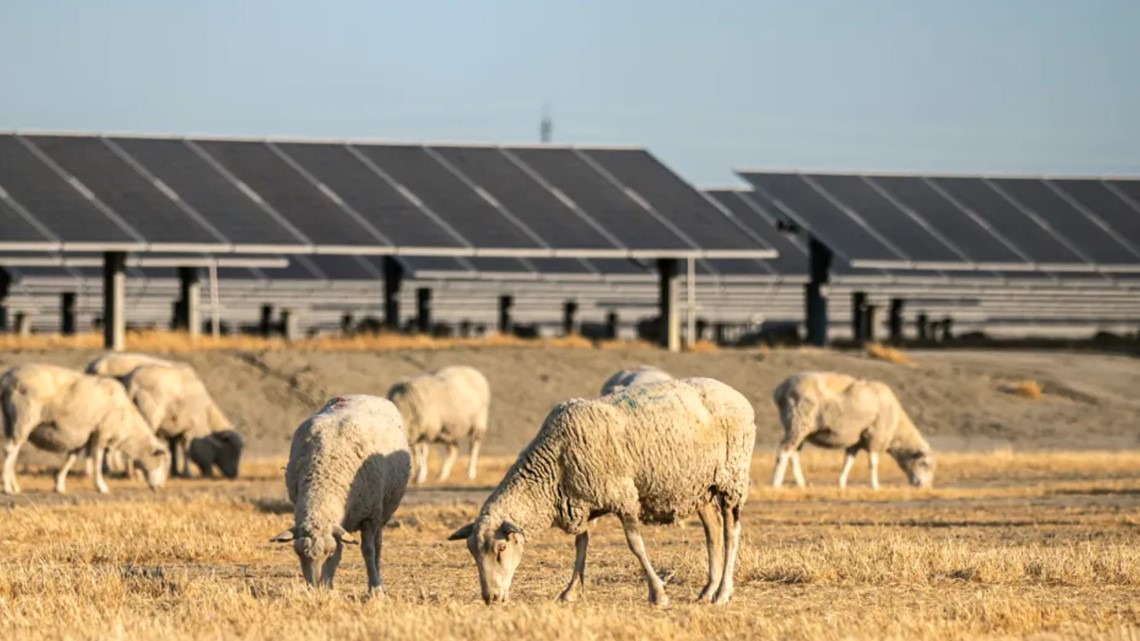 California renewable energy fight: Counties push back - Vimarsana News