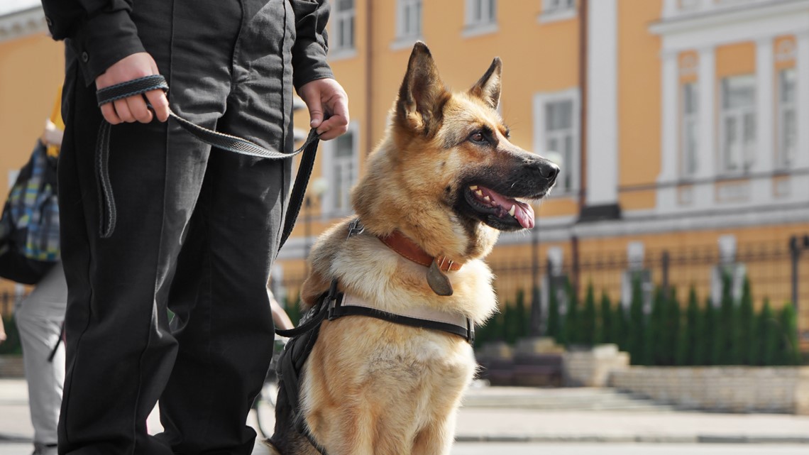 Using police canine for arrests could be banned if CA bill passes - Vimarsana News