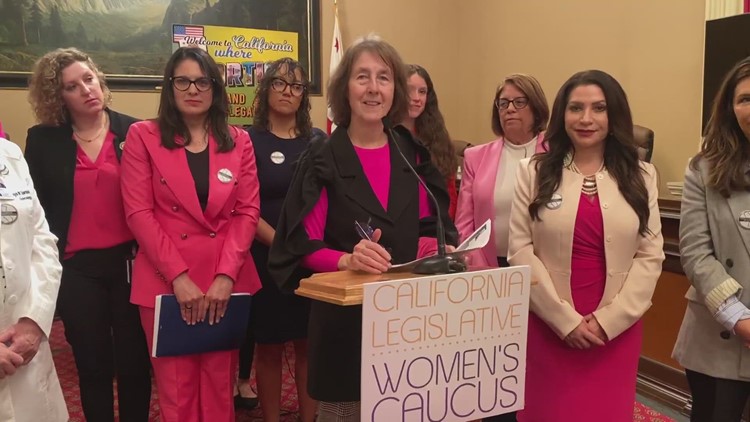 California lawmakers unveil latest package of abortion-related bills