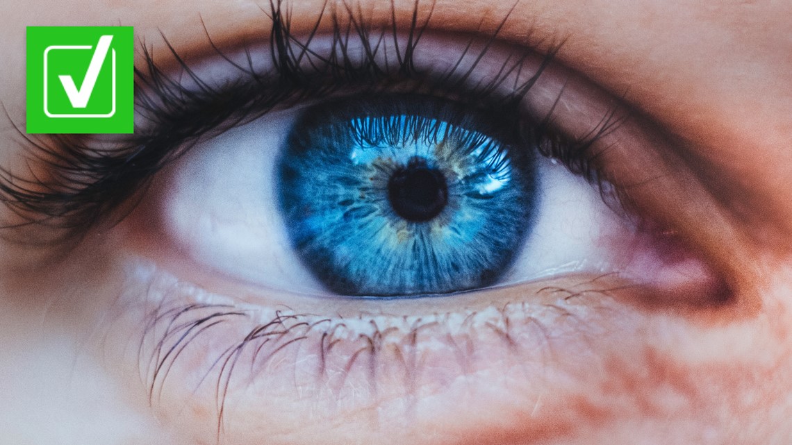 6 Amazing Facts About the Rarity of Blue Eyes - Auckland Eye