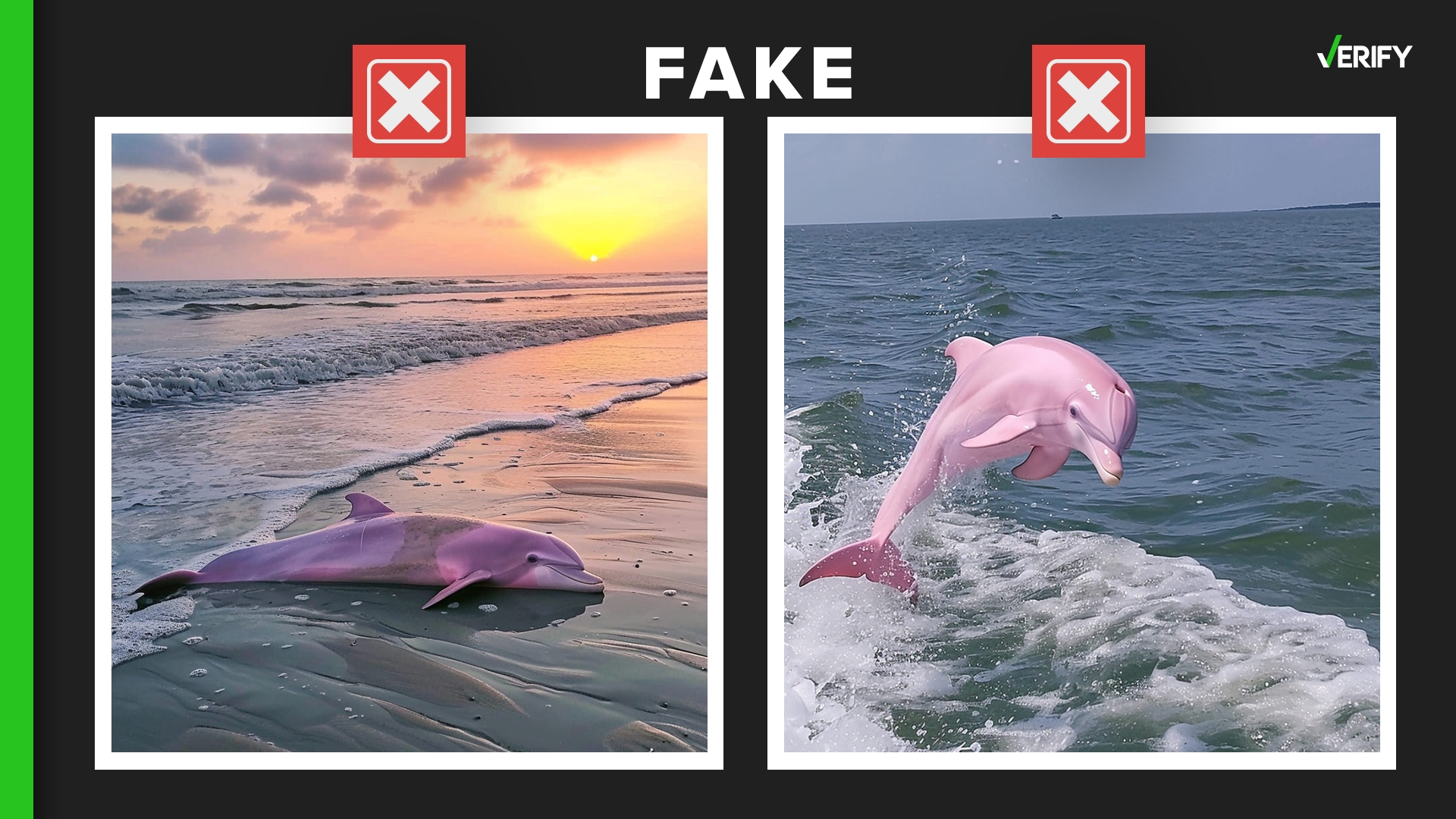 There is such a thing as a pink dolphin. But photos claiming to show one in North Carolina are altered or AI-generated.
