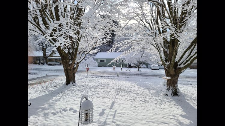 Let it, snow! White Christmas in East Tennessee | cbs8.com