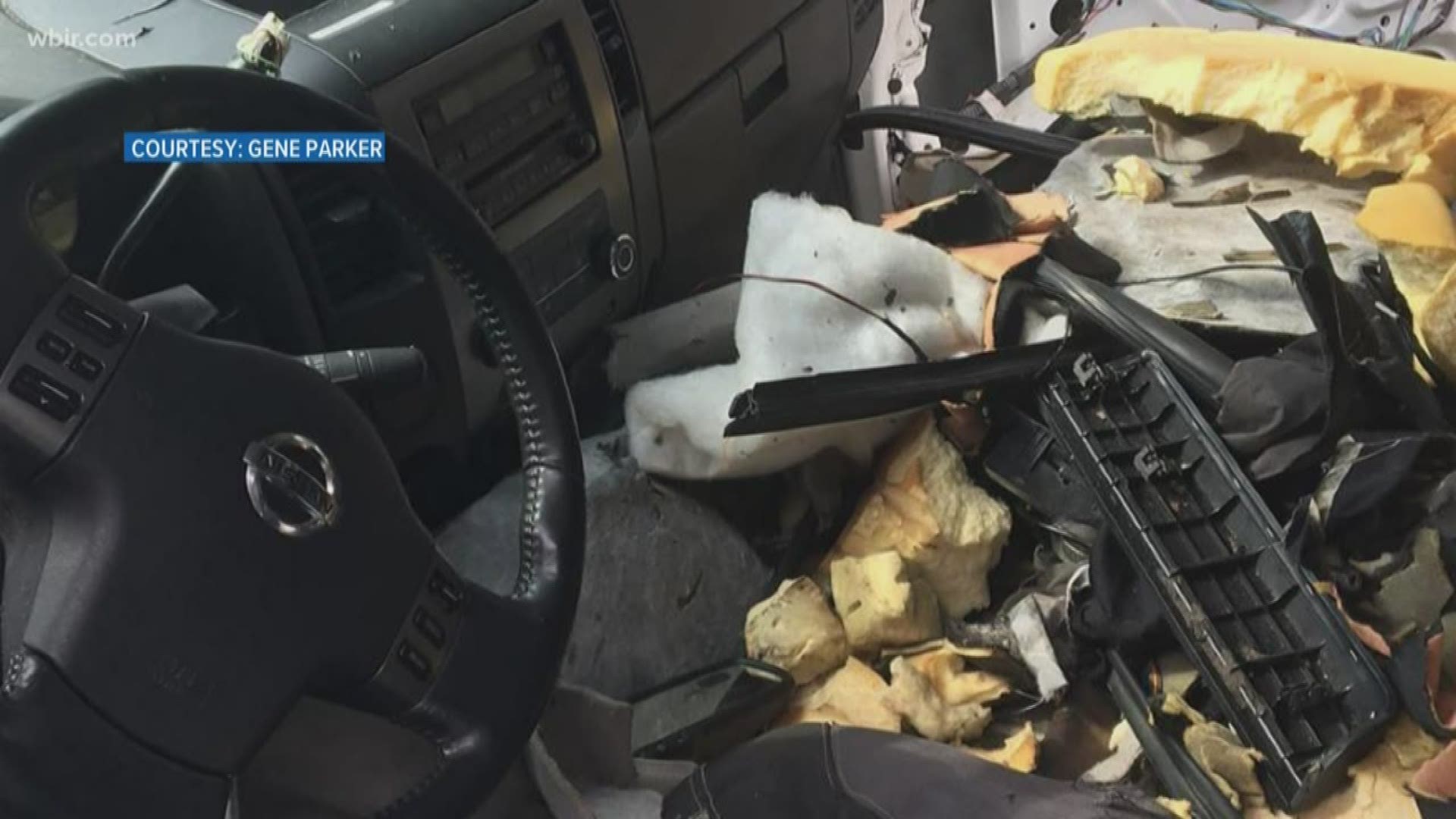 Bear trashes car in Gatlinburg after getting stuck inside