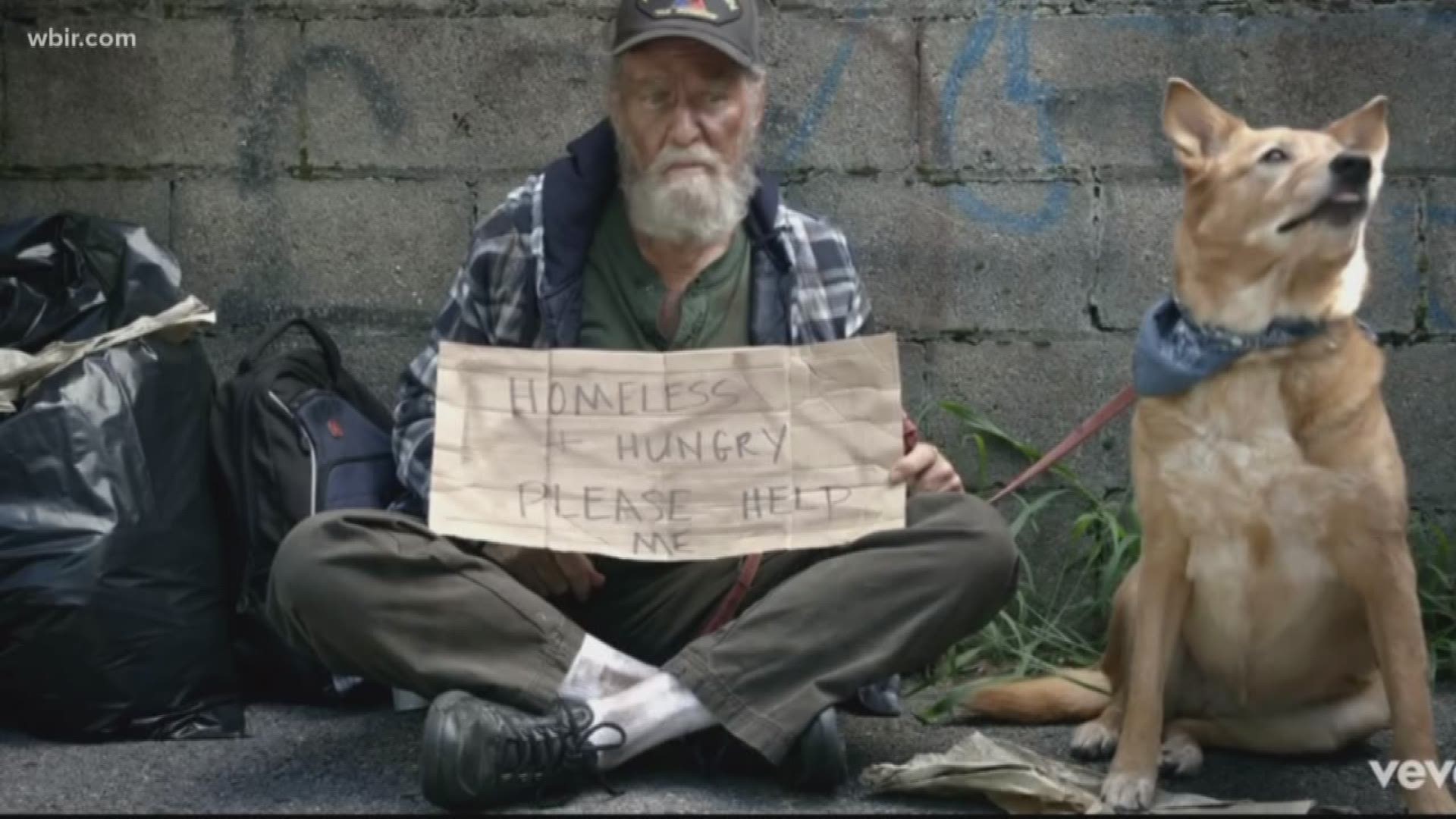 Dolly Parton's Netflix series reveals cast, will star Julianne Hough as