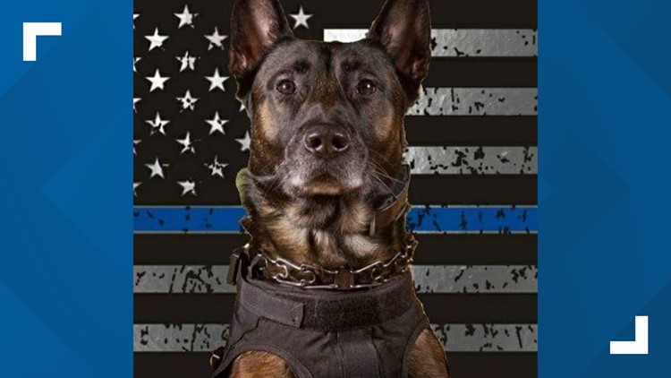 Waverly police announce passing of K-9 Gold