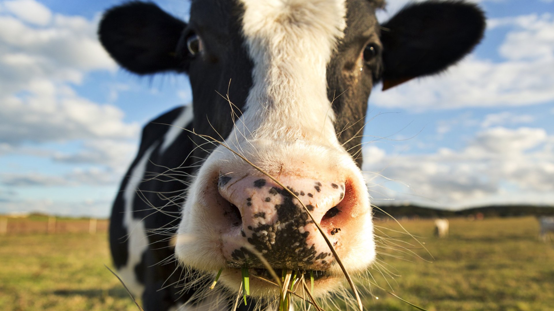 Climate Central says reducing our methane emissions could help to slow warming of the atmosphere at a faster pace if we take the right steps!