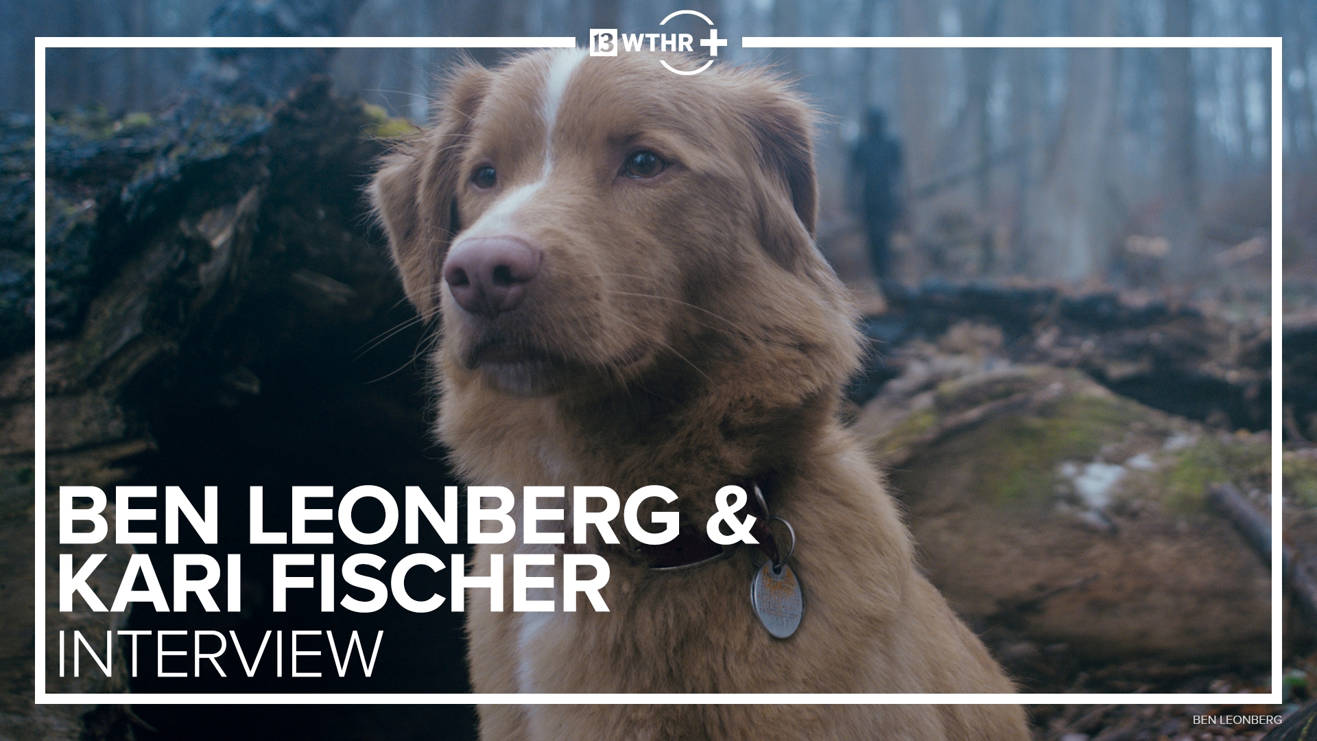 Dog actor Indy seeks Oscar nomination for 'Good Boy' | cbs8.com