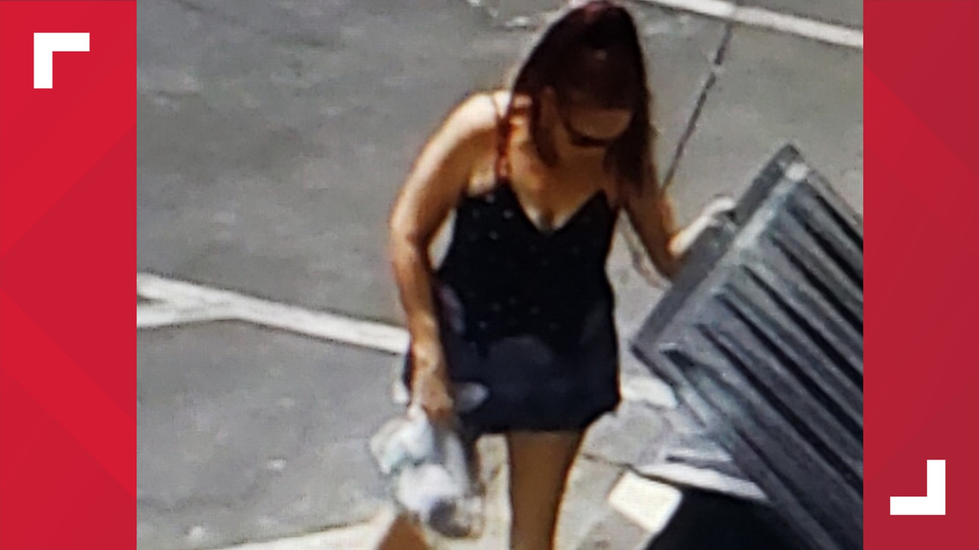 Southern California woman gets jail time for dumping puppies in trash ...
