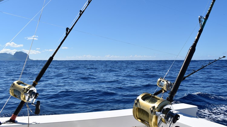 Shark in Florida Keys bites angler who reeled it in, sending man to hospital