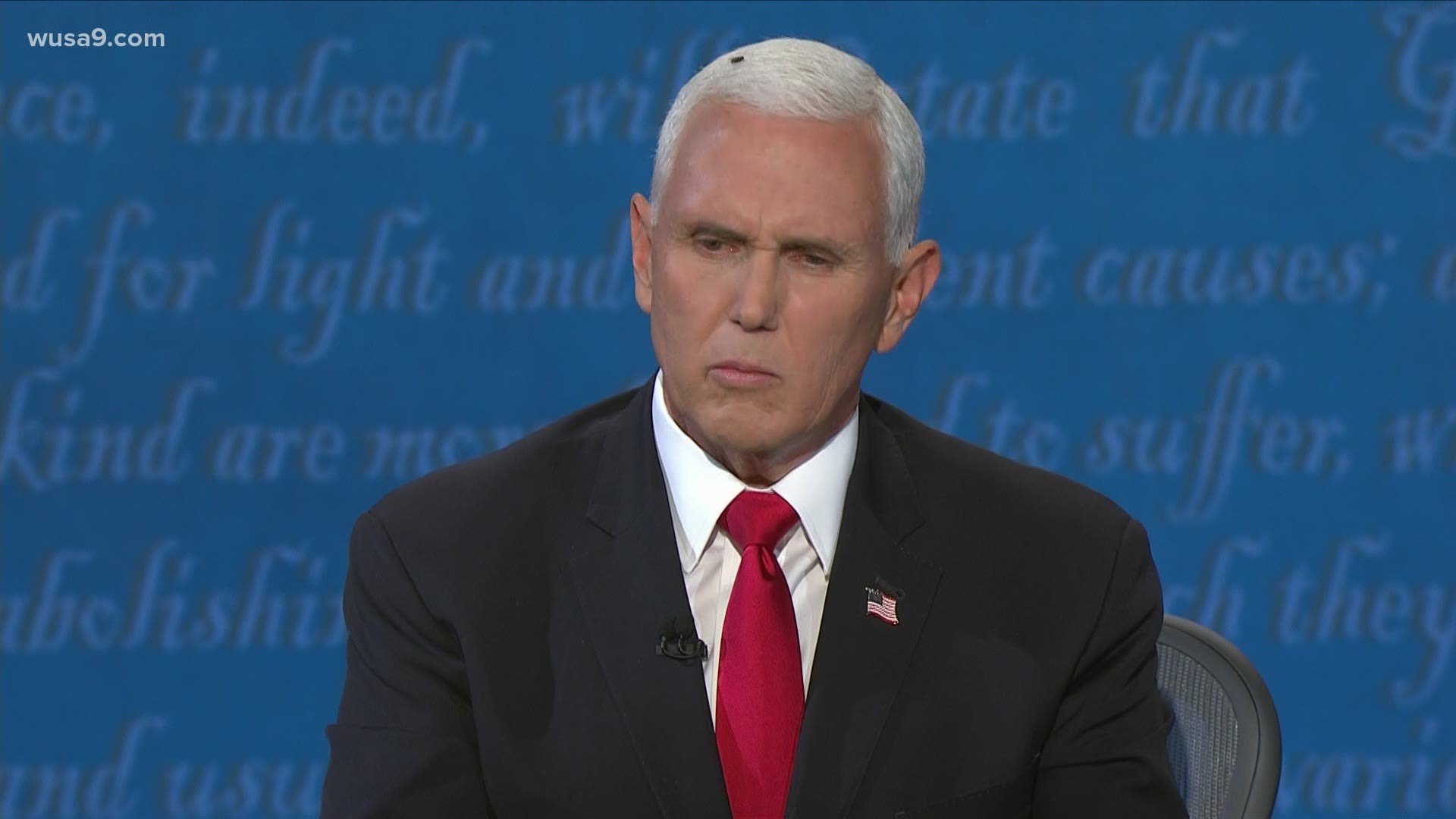 Black bug on Mike Pence's white hair during debate goes ...