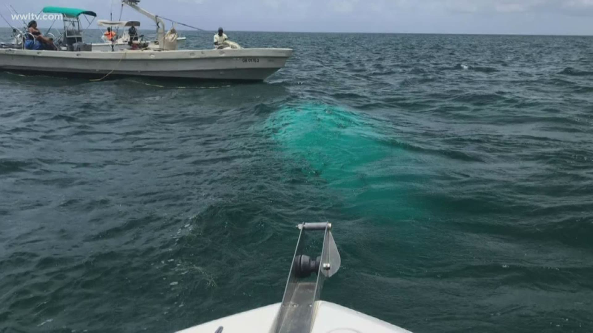 Authorities in the Bahamas removed a helicopter and seven people on board from the Atlantic Ocean after it crashed. On board were three LSU students and billionaire Chris Cline.